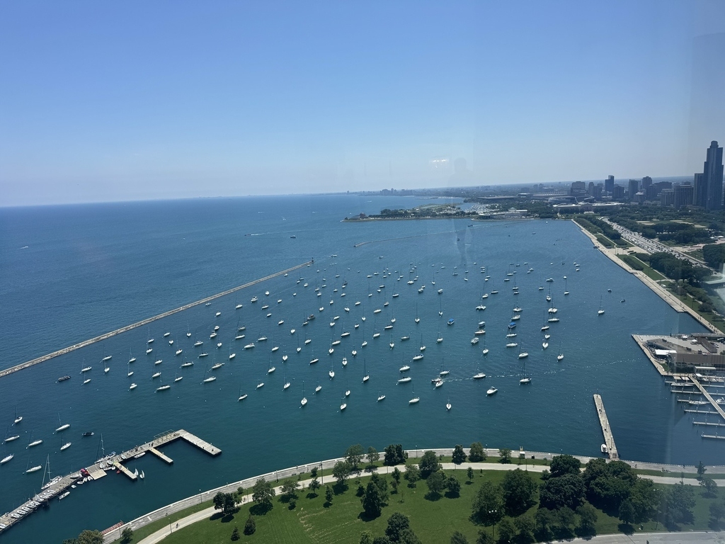 155 N Harbor Drive - Photo 18