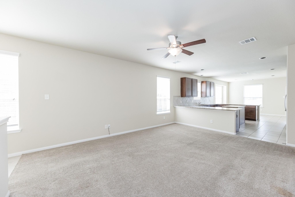 24922 Scarlatti Cantata Drive - Photo 6