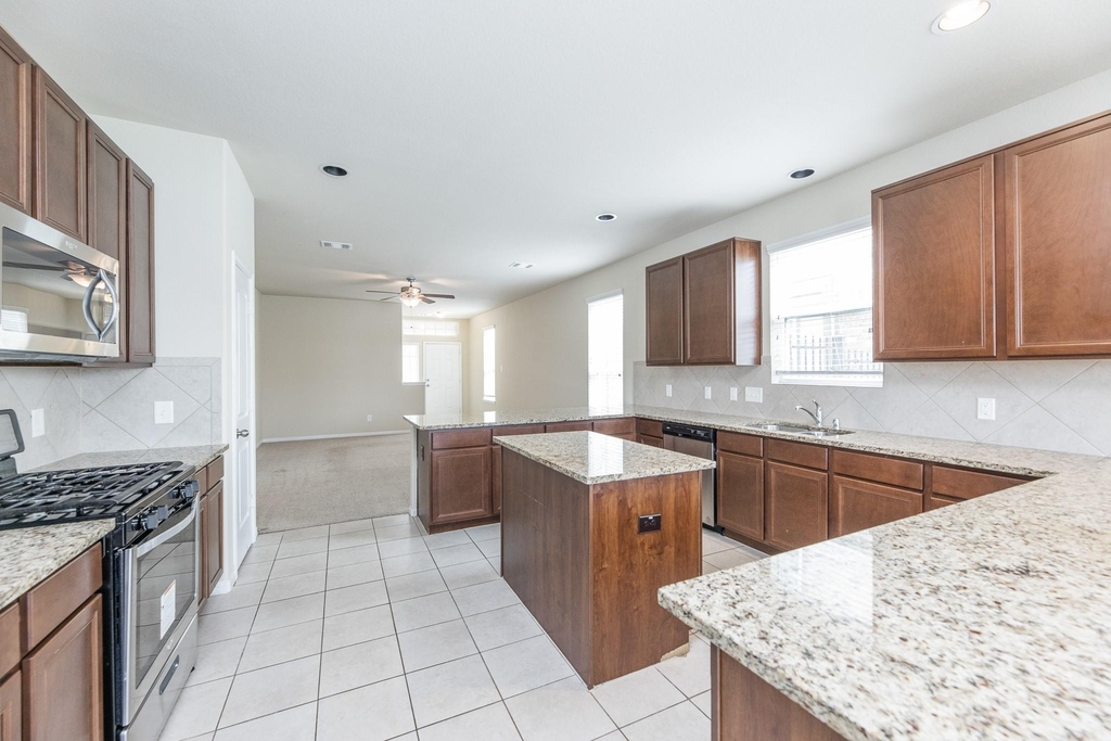 24922 Scarlatti Cantata Drive - Photo 10