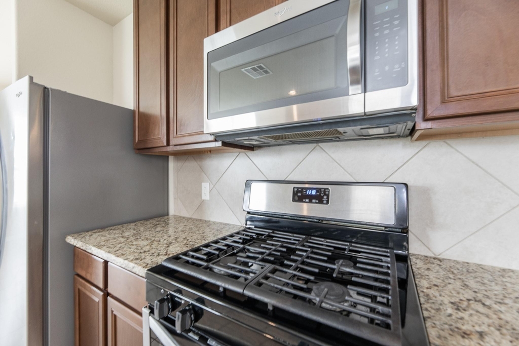 24922 Scarlatti Cantata Drive - Photo 12