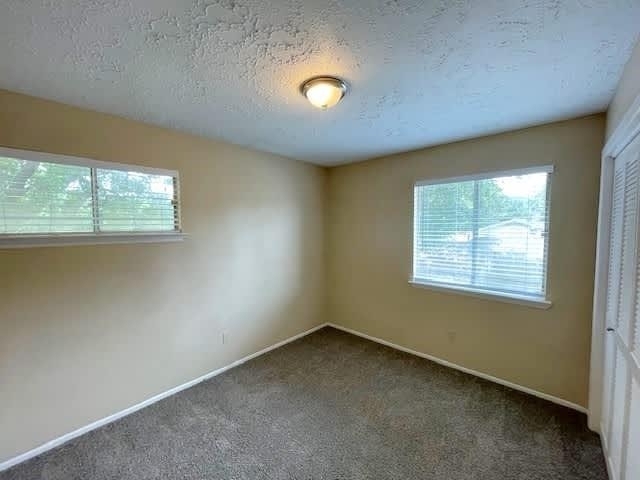 16122 Golden Sage Lane - Photo 4