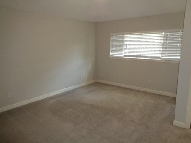 1227 Strawberry Park Lane - Photo 19
