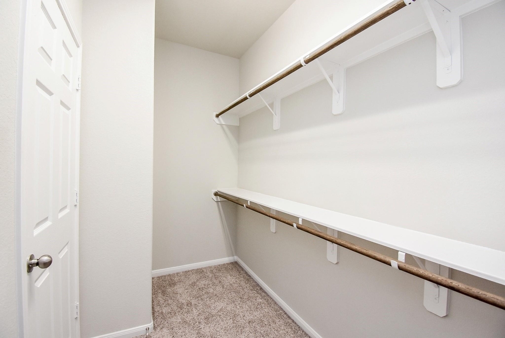 23602 Acerola Tree Court - Photo 26