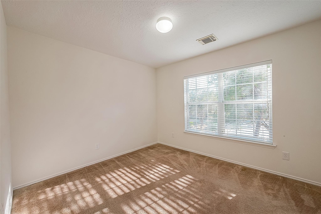 17210 Double Lilly Drive - Photo 24