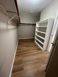 2239 Tourney Lane - Photo 18