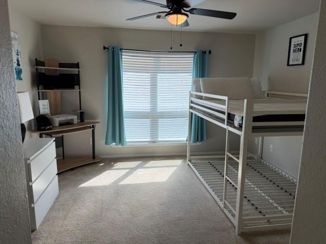 1330 Yucca Mountain Drive - Photo 5
