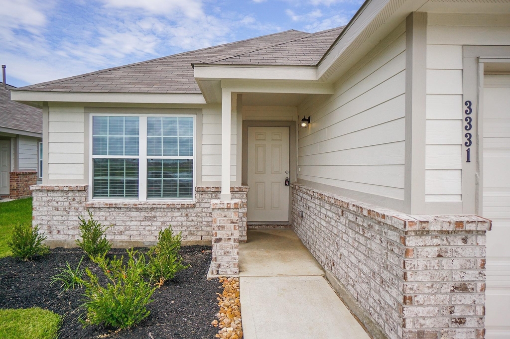 3331 Rosselli Brush Drive - Photo 1