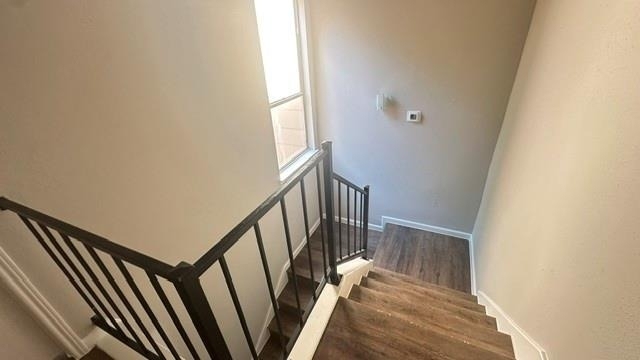 12254 Wild Pine Drive - Photo 9