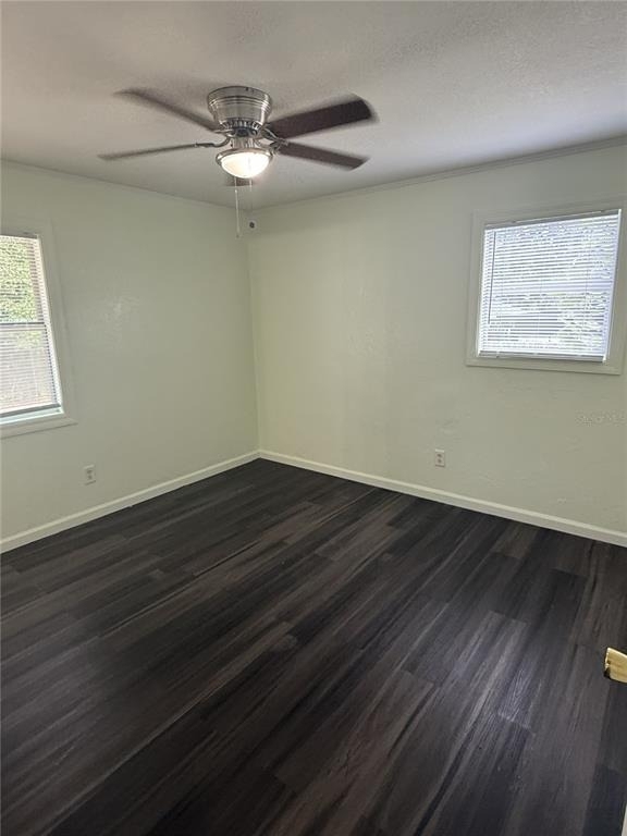 102 Grove Street - Photo 6