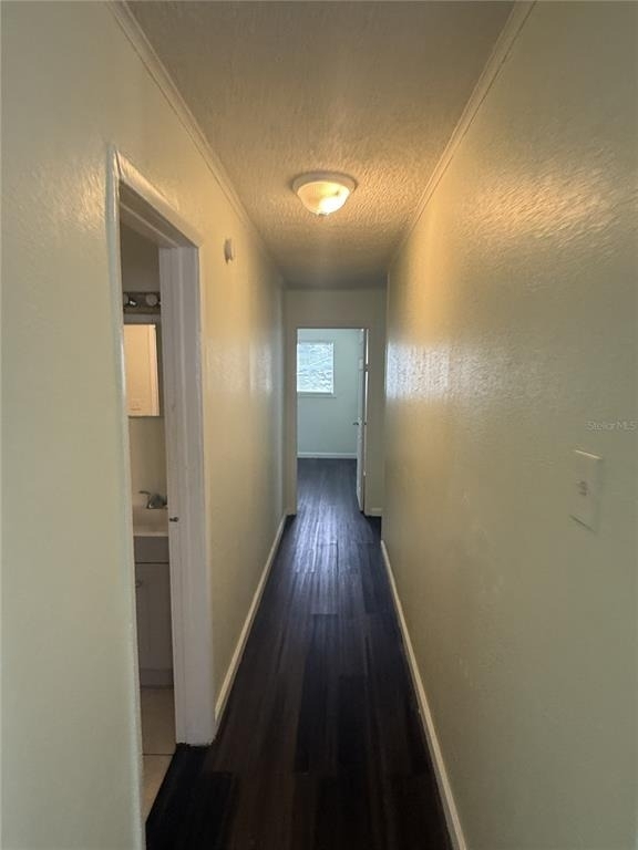 102 Grove Street - Photo 5