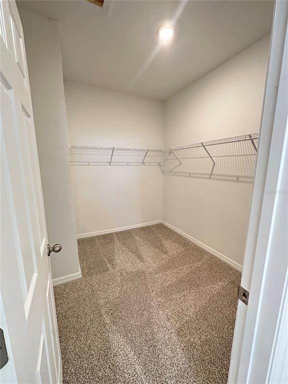 2262 Huntsman Ridge Road - Photo 12