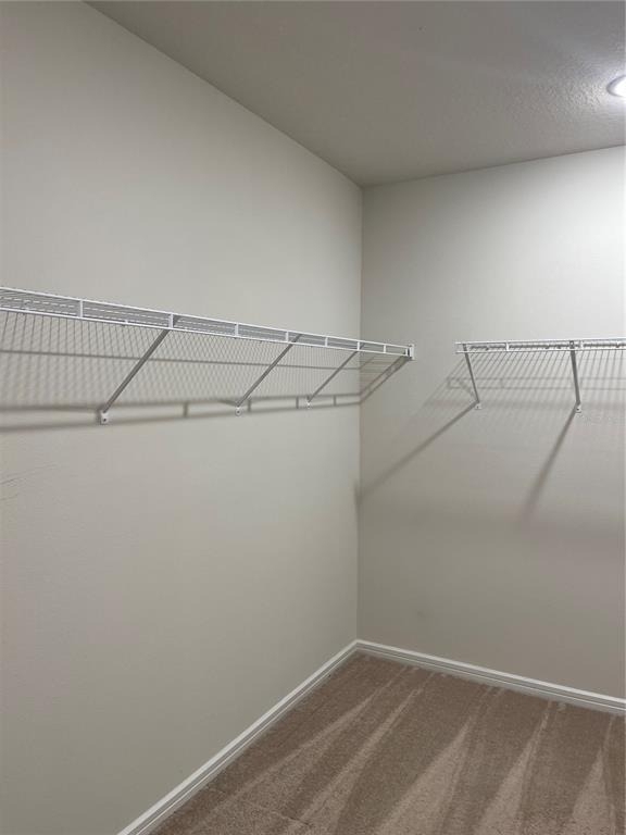 5503 Keaton Springs Drive - Photo 28