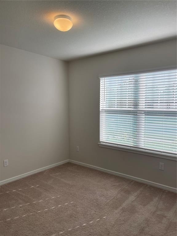 5503 Keaton Springs Drive - Photo 36
