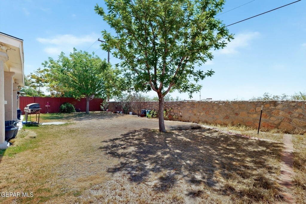 14224 Desert Ash Drive - Photo 57