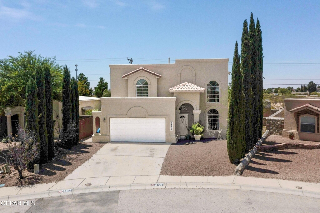 14224 Desert Ash Drive - Photo 7