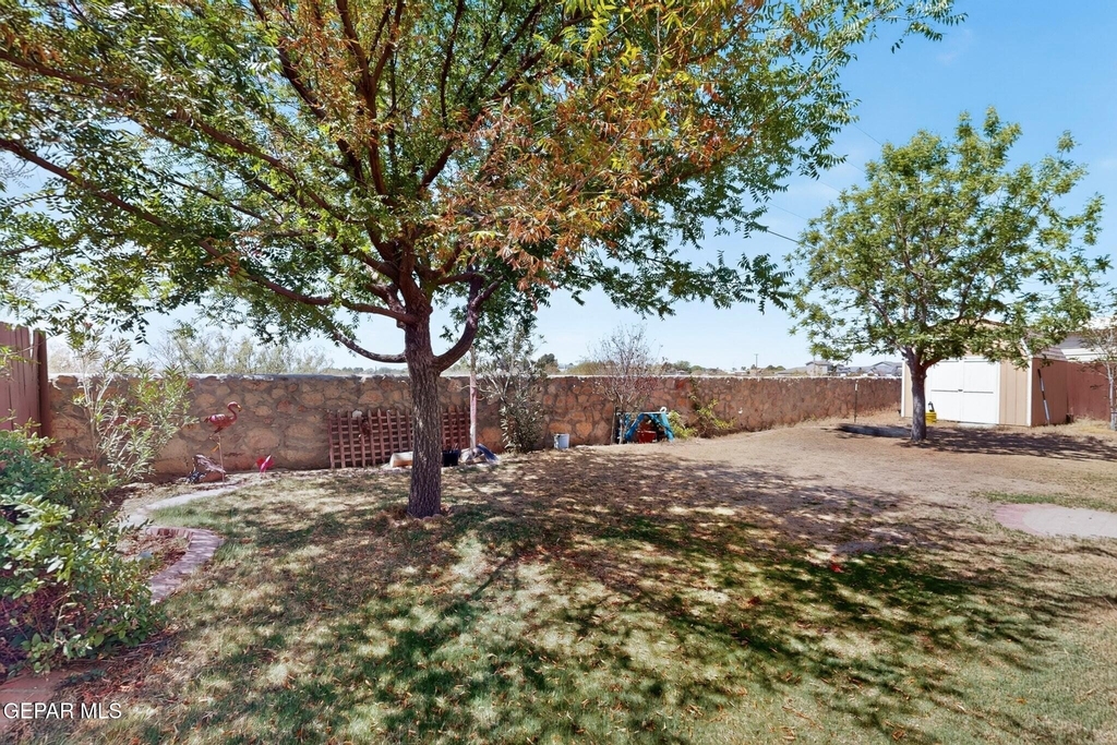 14224 Desert Ash Drive - Photo 58