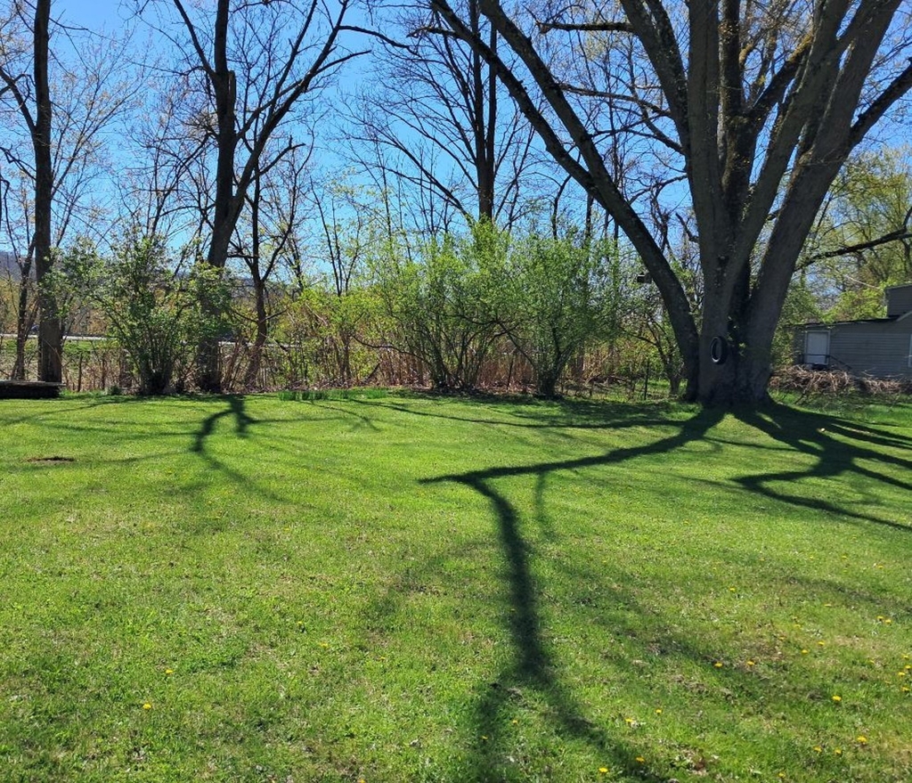 17 Gage Road - Photo 13