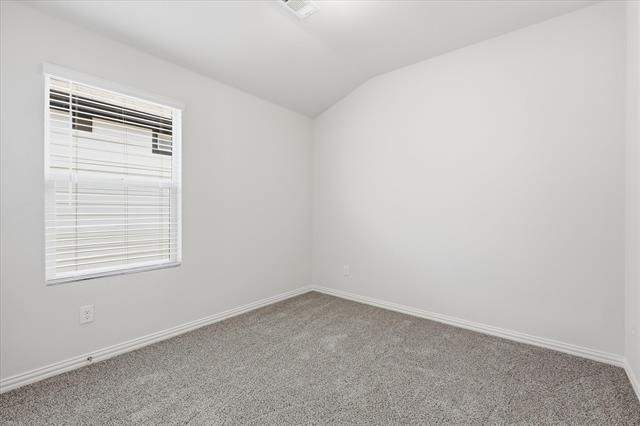 2821 Bursera Lane - Photo 16
