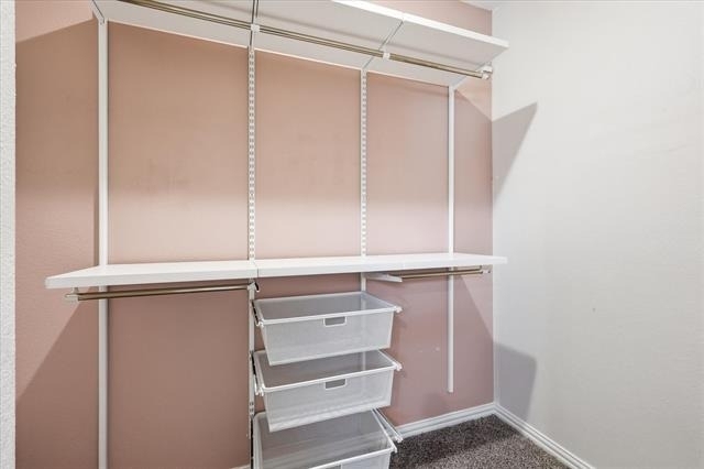2821 Bursera Lane - Photo 15