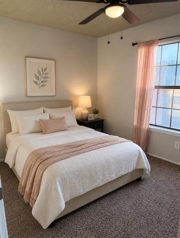 808 W Collins Street - Photo 8