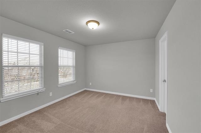 6401 Longhorn Herd Lane - Photo 12