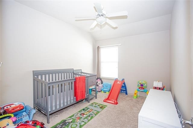 5009 Cassidy Lane - Photo 14