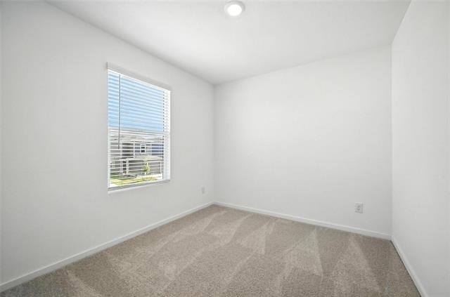 12120 Morgan Drive - Photo 8