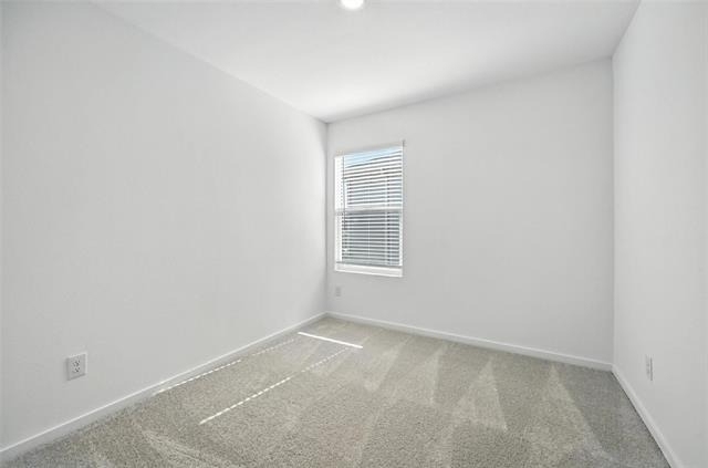 12120 Morgan Drive - Photo 10