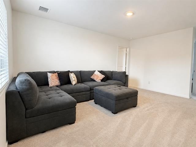 241 Adelina Drive - Photo 9