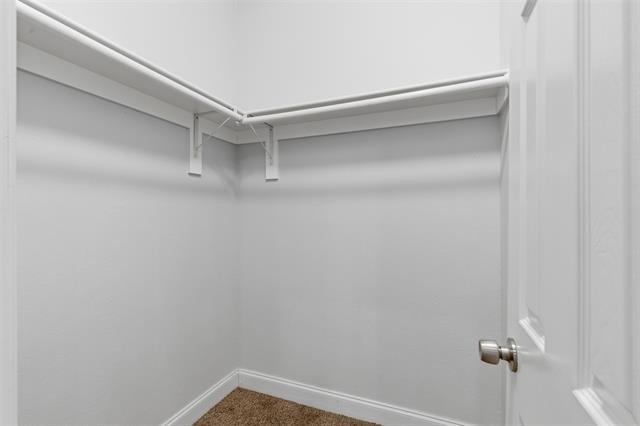 4805 Pickett - Photo 19