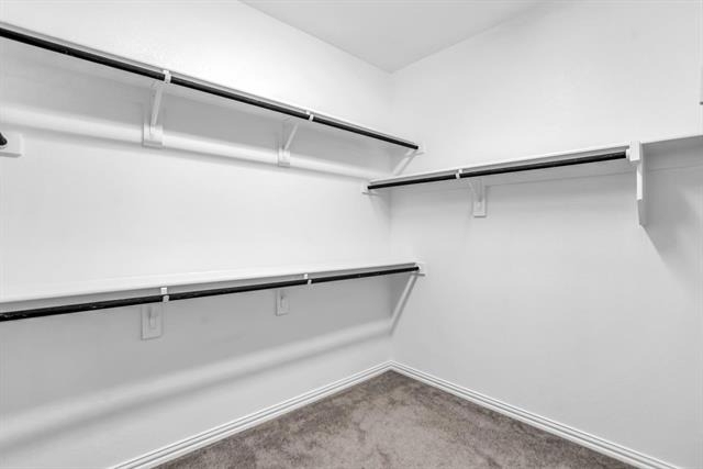 4213 Petunia Way - Photo 22