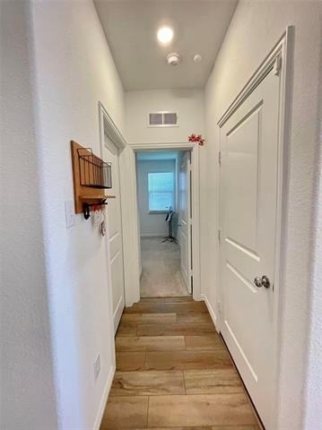 8413 Butterfly Lane - Photo 14