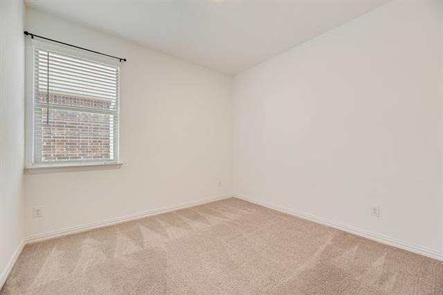 7109 Crepe Myrtle Avenue - Photo 8