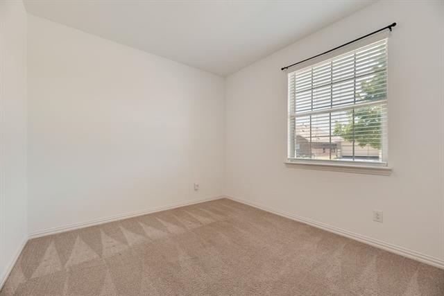 7109 Crepe Myrtle Avenue - Photo 5