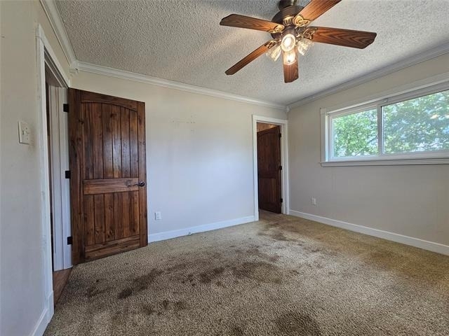 1630 Milrany Lane - Photo 10