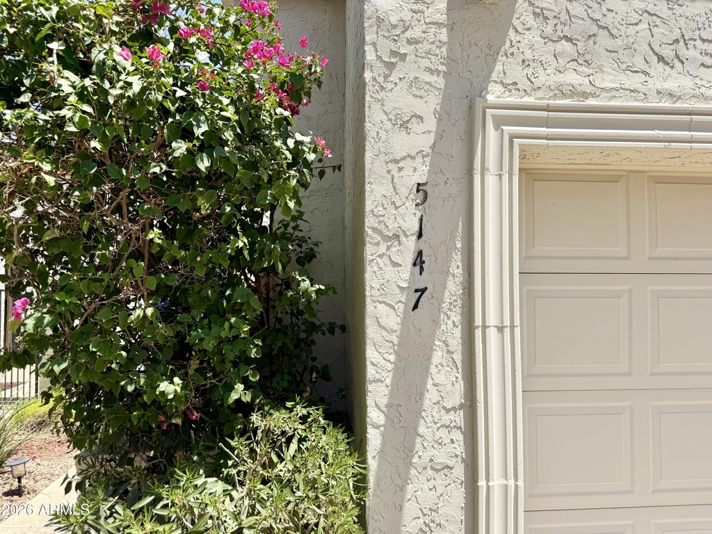 5147 N 76th Place - Photo 2