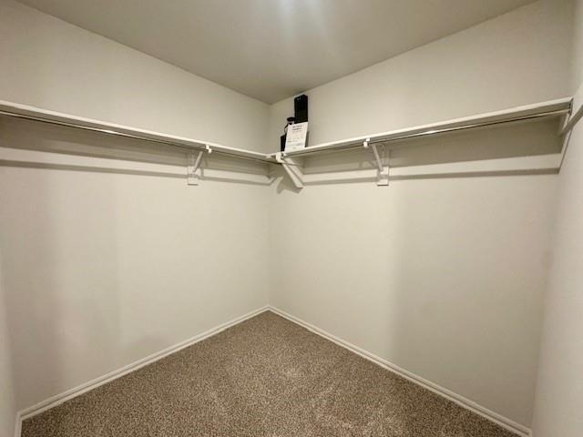 3509 Pete Street - Photo 36