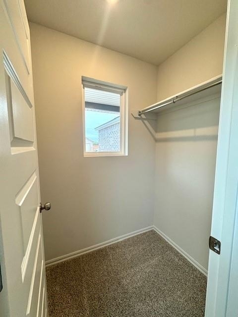 3509 Pete Street - Photo 17