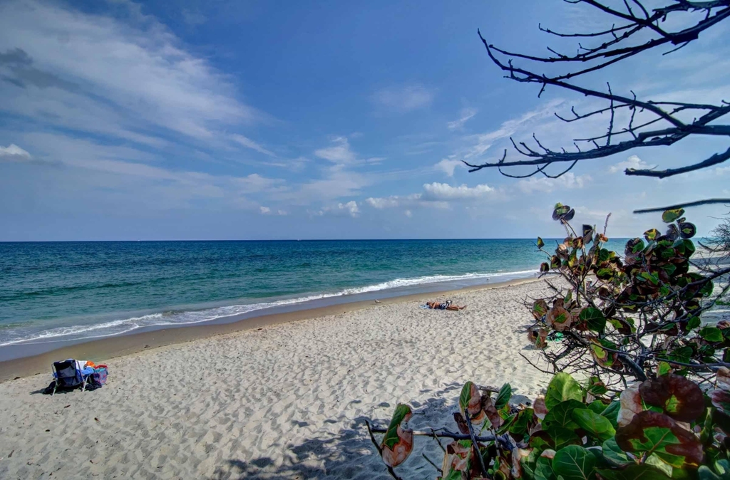200 Ocean Trail Way - Photo 4