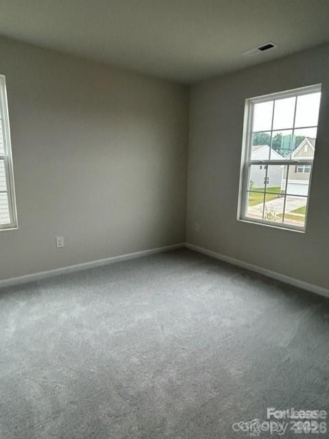 173 Hanging Rock Trail - Photo 17