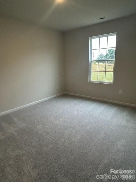 173 Hanging Rock Trail - Photo 15