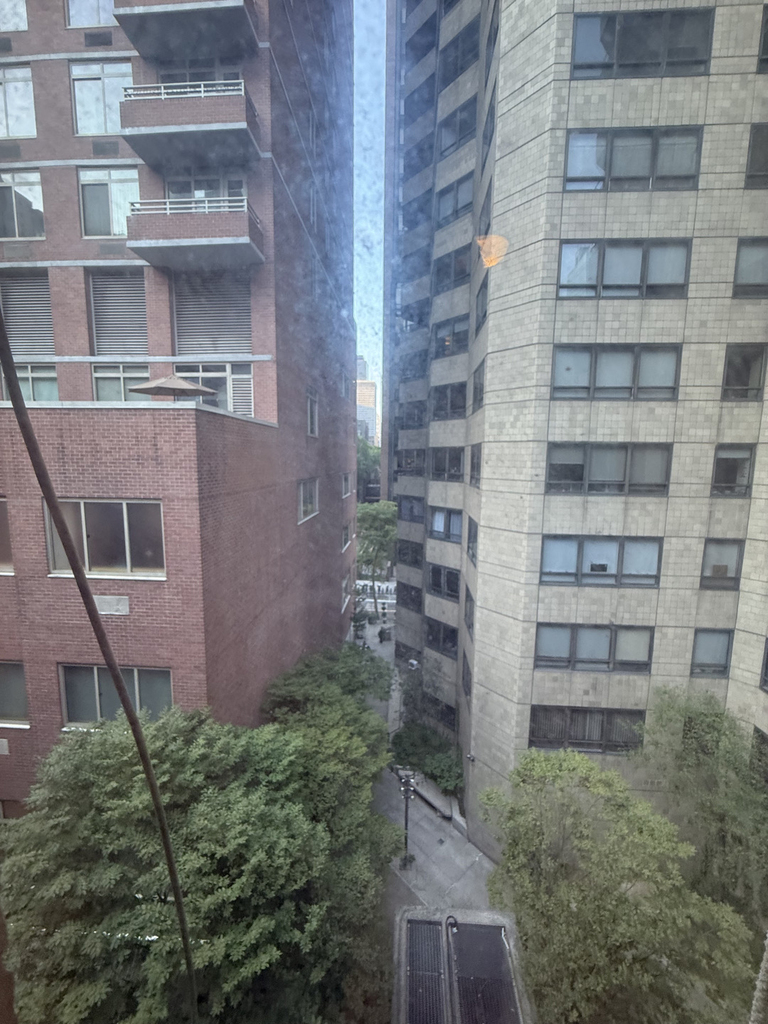 235 East 46th Street - Photo 11