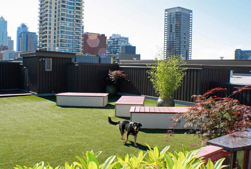 2312 3rd Avenue - Photo 22