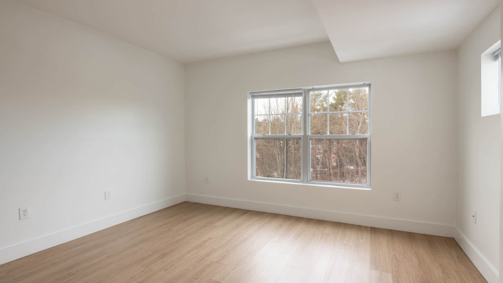 790 Willard Street - Photo 94