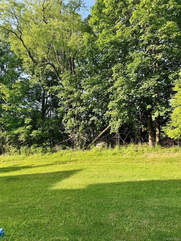 127 Meadow View Drive - Photo 19
