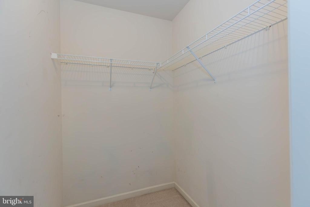 608 Thumper Drive - Photo 10