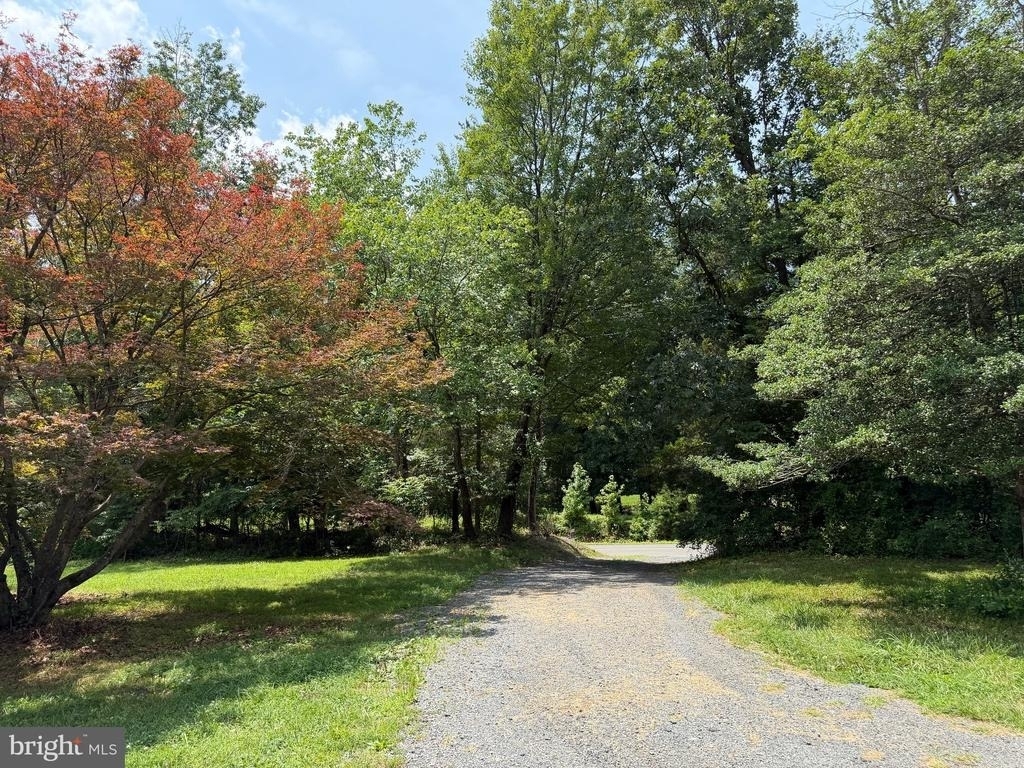11107 Burwell Road - Photo 9