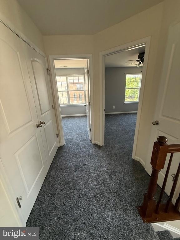 42649 Winter Wind Terrace - Photo 41