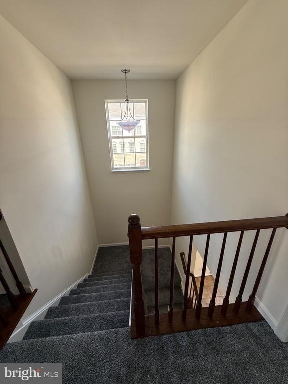 42649 Winter Wind Terrace - Photo 48