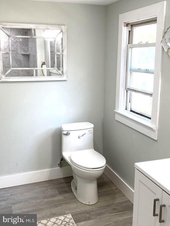 48 Elizabeth Street - Photo 12